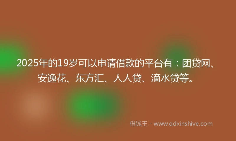 2025年的19岁可以申请借款的平台有：团贷网、安逸花、东方汇、人人贷、滴水贷等。