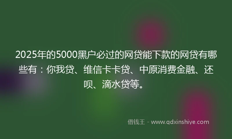 2025年的5000黑户必过的网贷能下款的网贷有哪些有：你我贷、维信卡卡贷、中原消费金融、还呗、滴水贷等。