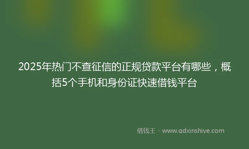 2025年热门不查征信的正规贷款平台有哪些，概括5个手机和身份证快速借钱平台