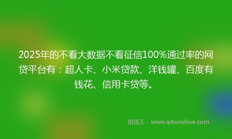 2025年的不看大数据不看征信100%通过率的网贷平台有：超人卡、小米贷款、洋钱罐、百度有钱花、信用卡贷等。