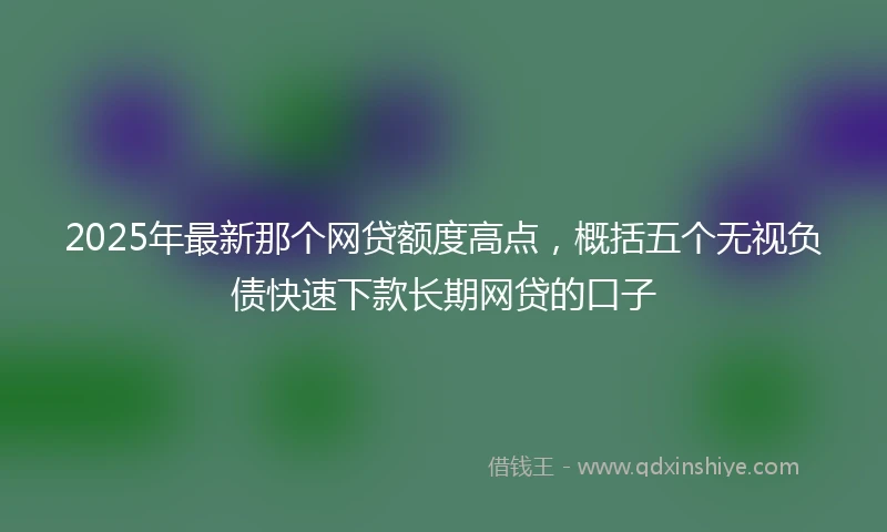 2025年最新那个网贷额度高点,概括五个无视负债快速下款长期网贷的口子