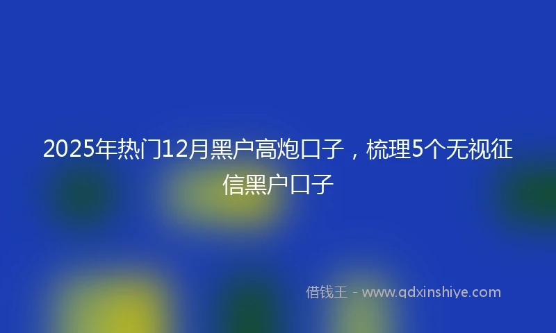 2025年热门12月黑户高炮口子，梳理5个无视征信黑户口子