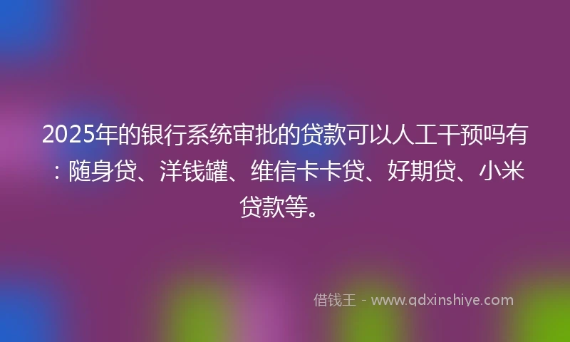 2025年的银行系统审批的贷款可以人工干预吗有：随身贷、洋钱罐、维信卡卡贷、好期贷、小米贷款等。