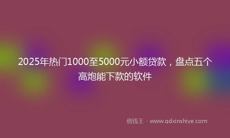 2025年热门1000至5000元小额贷款，盘点五个高炮能下款的软件