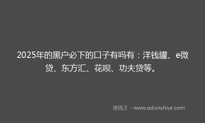 2025年的黑户必下的口子有吗有：洋钱罐、e微贷、东方汇、花呗、功夫贷等。
