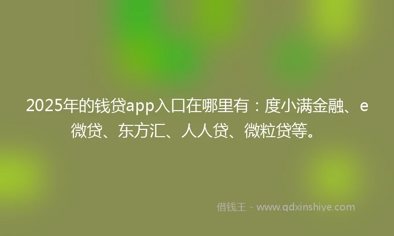 2025年的钱贷app入口在哪里有：度小满金融、e微贷、东方汇、人人贷、微粒贷等。
