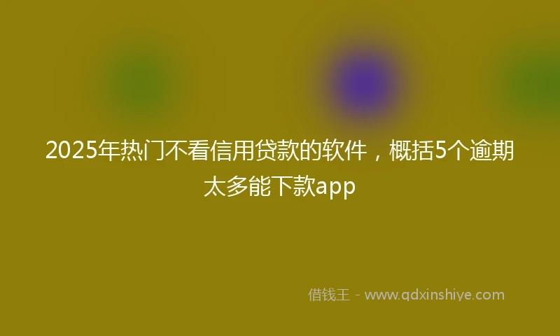 2025年热门不看信用贷款的软件，概括5个逾期太多能下款app