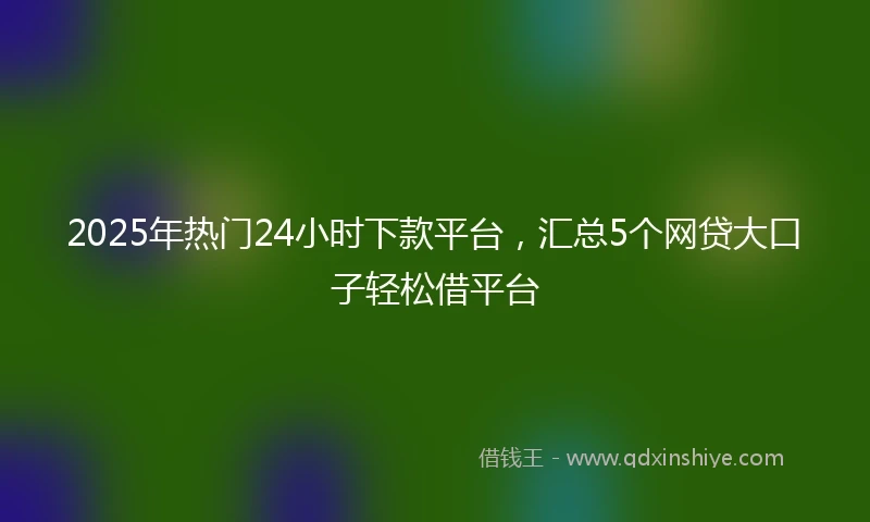 2025年热门24小时下款平台,汇总5个网贷大口子轻松借平台