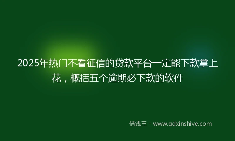 2025年热门不看征信的贷款平台一定能下款掌上花，概括五个逾期必下款的软件