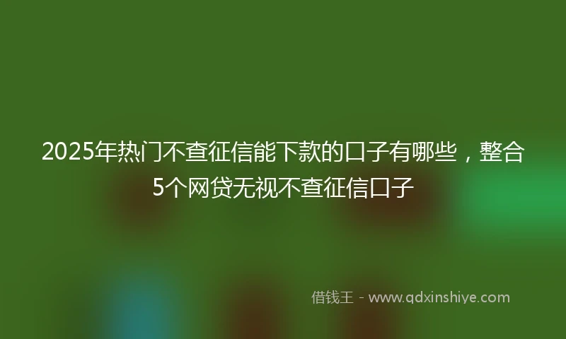 2025年热门不查征信能下款的口子有哪些，整合5个网贷无视不查征信口子
