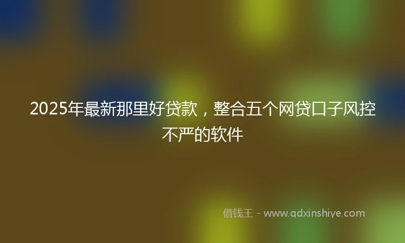 2025年最新那里好贷款，整合五个网贷口子风控不严的软件