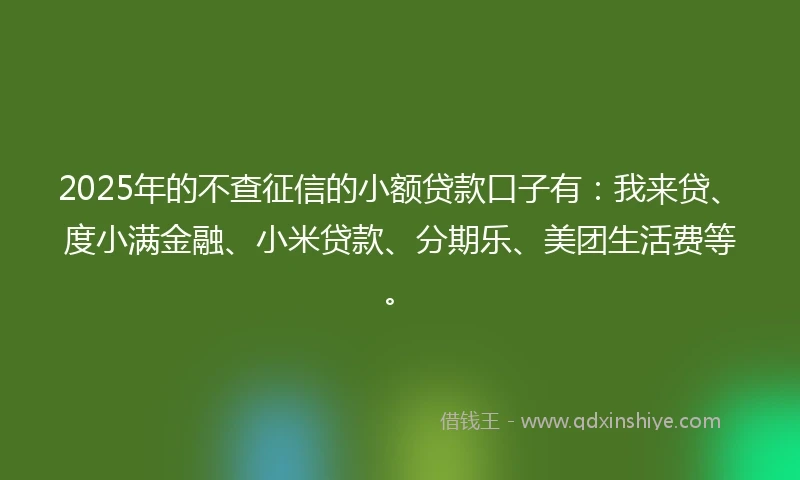 2025年的不查征信的小额贷款口子有：我来贷、度小满金融、小米贷款、分期乐、美团生活费等。