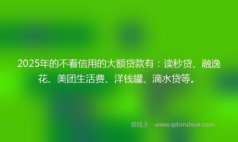 2025年的不看信用的大额贷款有：读秒贷、融逸花、美团生活费、洋钱罐、滴水贷等。