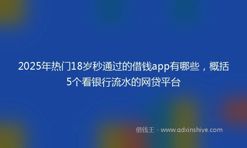 2025年热门18岁秒通过的借钱app有哪些，概括5个看银行流水的网贷平台