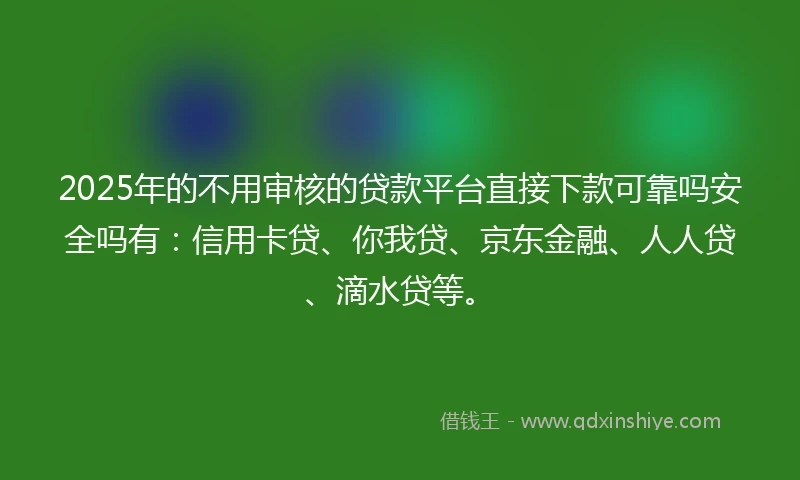 2025年的不用审核的贷款平台直接下款可靠吗安全吗有：信用卡贷、你我贷、京东金融、人人贷、滴水贷等。