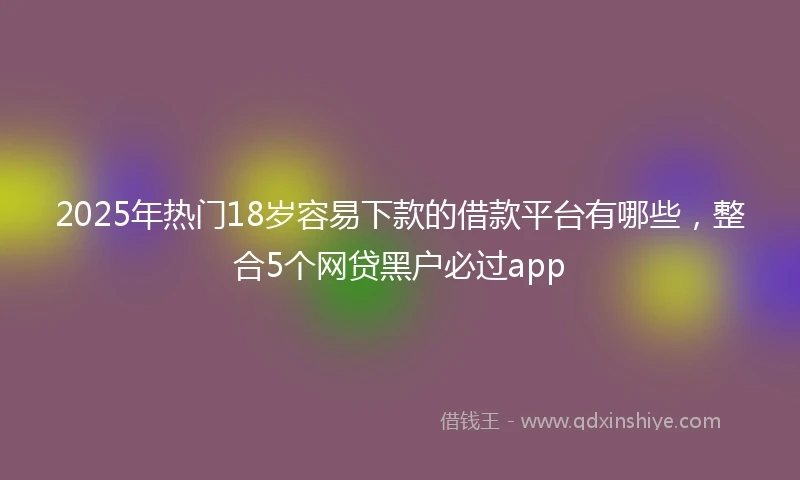 2025年热门18岁容易下款的借款平台有哪些,整合5个网贷黑户必过app