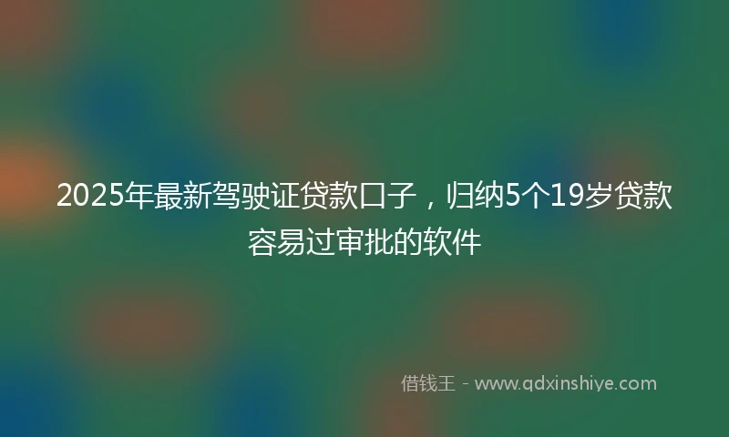 2025年最新驾驶证贷款口子，归纳5个19岁贷款容易过审批的软件