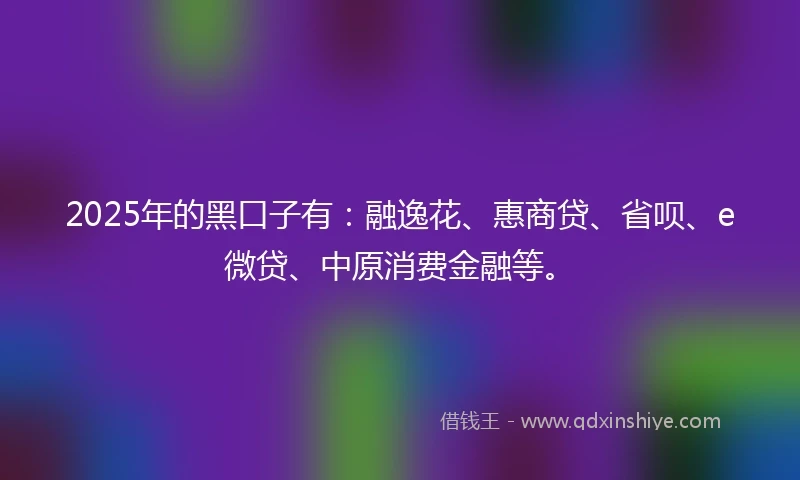 2025年的黑口子有：融逸花、惠商贷、省呗、e微贷、中原消费金融等。