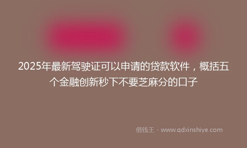 2025年最新驾驶证可以申请的贷款软件，概括五个金融创新秒下不要芝麻分的口子