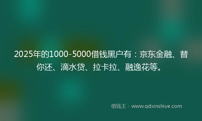 2025年的1000-5000借钱黑户有：京东金融、替你还、滴水贷、拉卡拉、融逸花等。