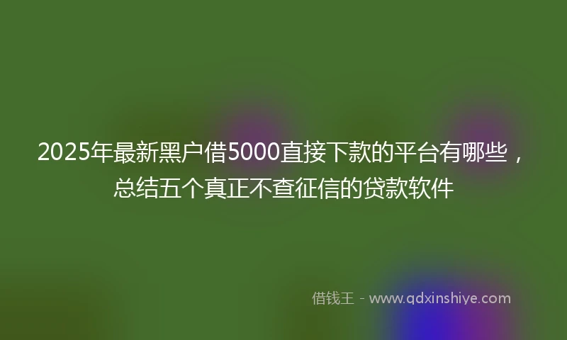 2025年最新黑户借5000直接下款的平台有哪些,总结五个真正不查征信的贷款软件
