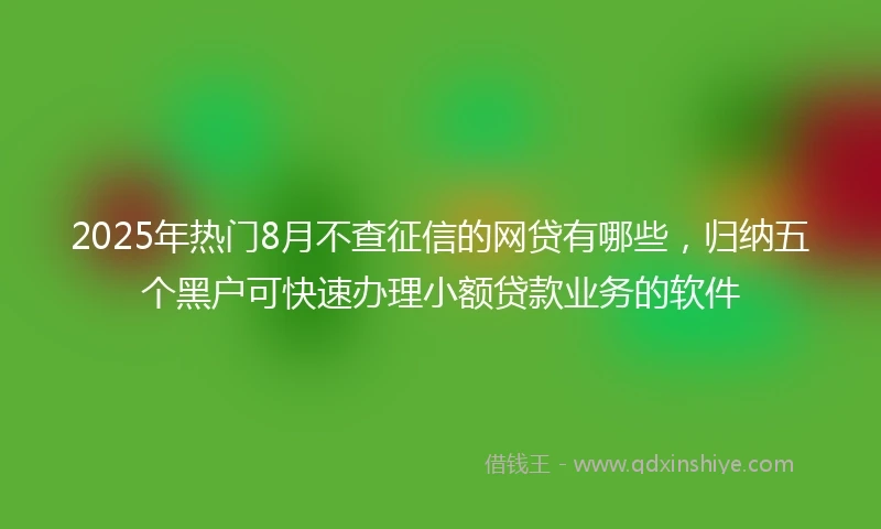 2025年热门8月不查征信的网贷有哪些，归纳五个黑户可快速办理小额贷款业务的软件