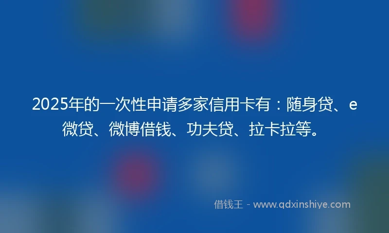 2025年的一次性申请多家信用卡有：随身贷、e微贷、微博借钱、功夫贷、拉卡拉等。