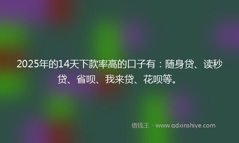 2025年的14天下款率高的口子有：随身贷、读秒贷、省呗、我来贷、花呗等。