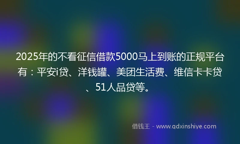 2025年的不看征信借款5000马上到账的正规平台有：平安i贷、洋钱罐、美团生活费、维信卡卡贷、51人品贷等。
