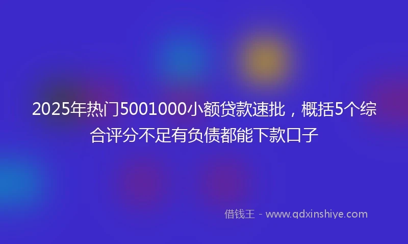 2025年热门5001000小额贷款速批，概括5个综合评分不足有负债都能下款口子