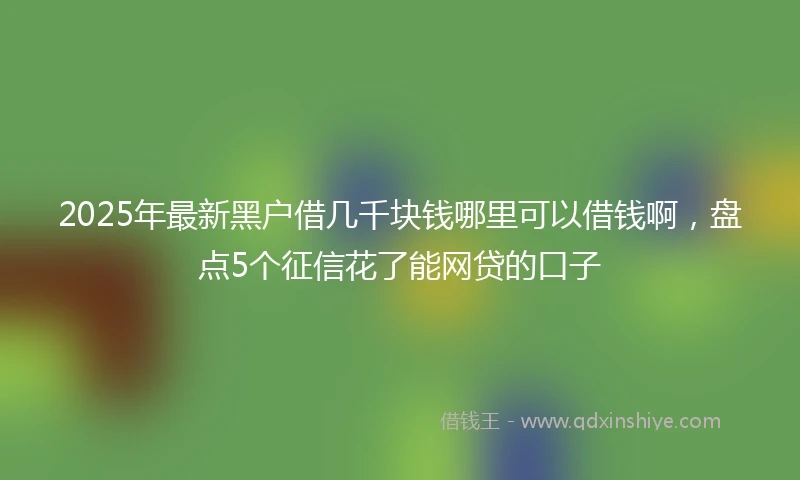 2025年最新黑户借几千块钱哪里可以借钱啊，盘点5个征信花了能网贷的口子