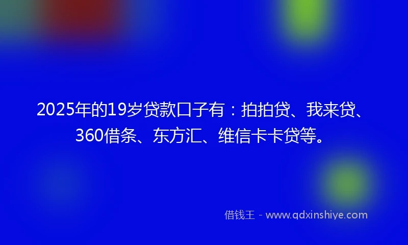 2025年的19岁贷款口子有：拍拍贷、我来贷、360借条、东方汇、维信卡卡贷等。