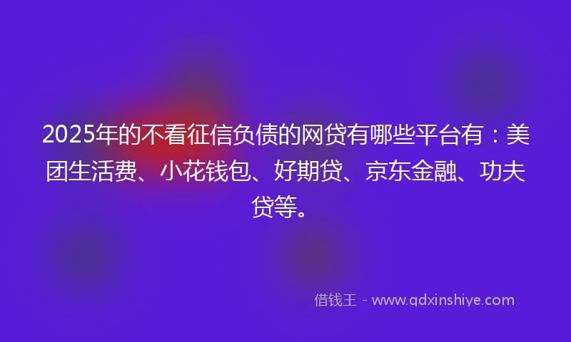 2025年的不看征信负债的网贷有哪些平台有：美团生活费、小花钱包、好期贷、京东金融、功夫贷等。