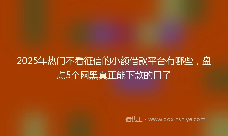2025年热门不看征信的小额借款平台有哪些，盘点5个网黑真正能下款的口子