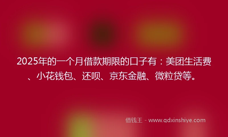 2025年的一个月借款期限的口子有：美团生活费、小花钱包、还呗、京东金融、微粒贷等。