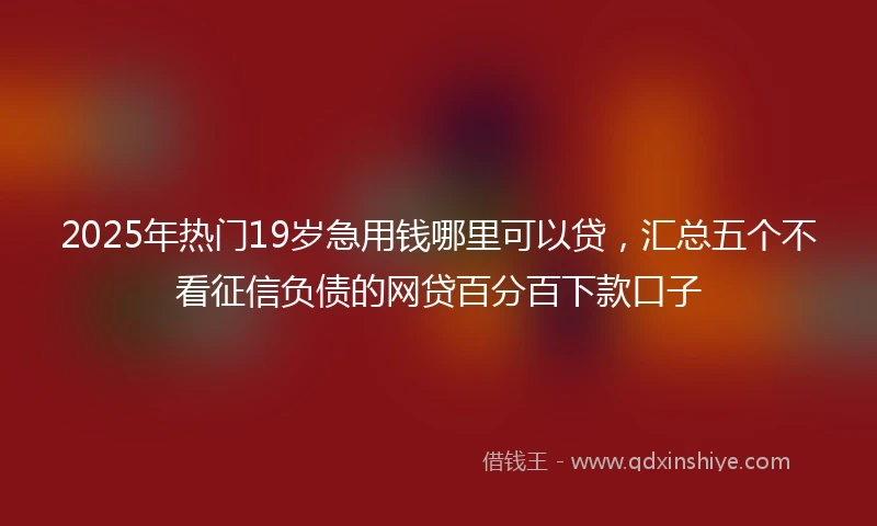 2025年热门19岁急用钱哪里可以贷，汇总五个不看征信负债的网贷百分百下款口子