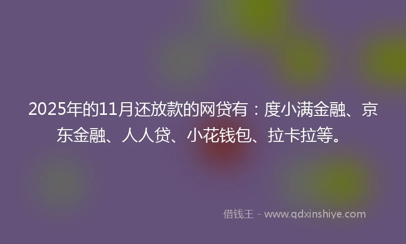 2025年的11月还放款的网贷有：度小满金融、京东金融、人人贷、小花钱包、拉卡拉等。