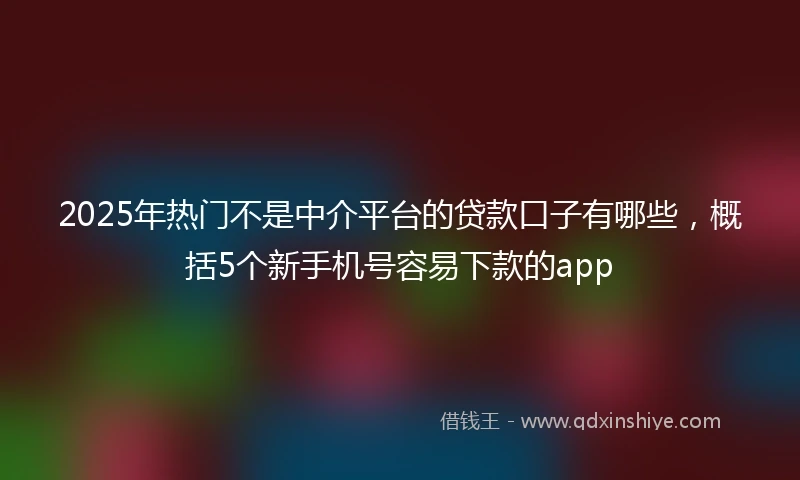 2025年热门不是中介平台的贷款口子有哪些，概括5个新手机号容易下款的app
