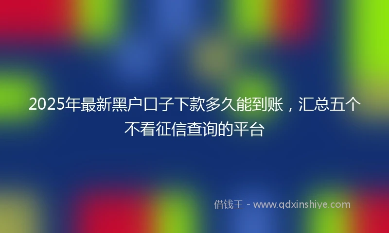 2025年最新黑户口子下款多久能到账，汇总五个不看征信查询的平台