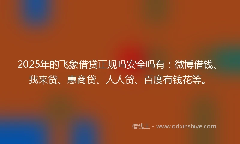 2025年的飞象借贷正规吗安全吗有：微博借钱、我来贷、惠商贷、人人贷、百度有钱花等。