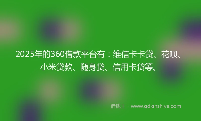 2025年的360借款平台有：维信卡卡贷、花呗、小米贷款、随身贷、信用卡贷等。