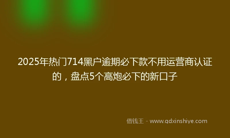 2025年热门714黑户逾期必下款不用运营商认证的,盘点5个高炮必下的新口子