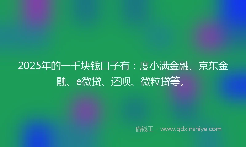 2025年的一千块钱口子有：度小满金融、京东金融、e微贷、还呗、微粒贷等。