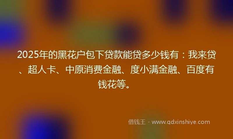 2025年的黑花户包下贷款能贷多少钱有：我来贷、超人卡、中原消费金融、度小满金融、百度有钱花等。