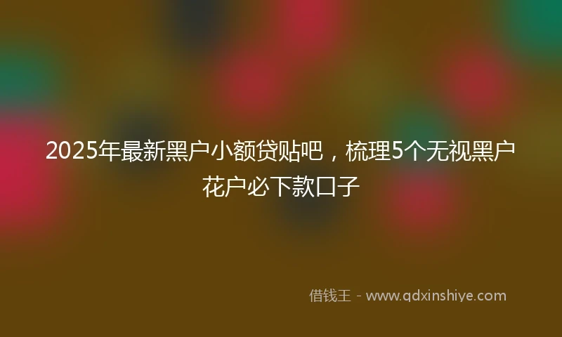 2025年最新黑户小额贷贴吧，梳理5个无视黑户花户必下款口子