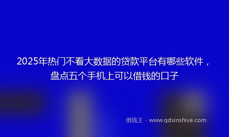 2025年热门不看大数据的贷款平台有哪些软件，盘点五个手机上可以借钱的口子