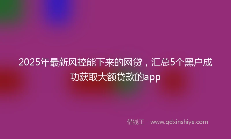 2025年最新风控能下来的网贷，汇总5个黑户成功获取大额贷款的app