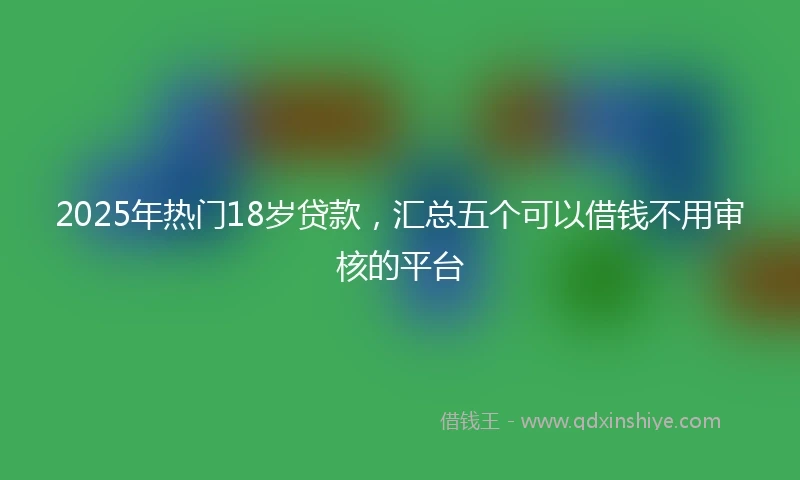 2025年热门18岁贷款,汇总五个可以借钱不用审核的平台