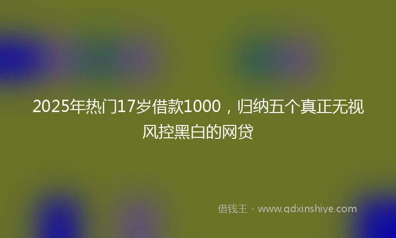 2025年热门17岁借款1000,归纳五个真正无视风控黑白的网贷