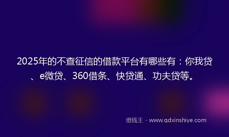 2025年的不查征信的借款平台有哪些有：你我贷、e微贷、360借条、快贷通、功夫贷等。